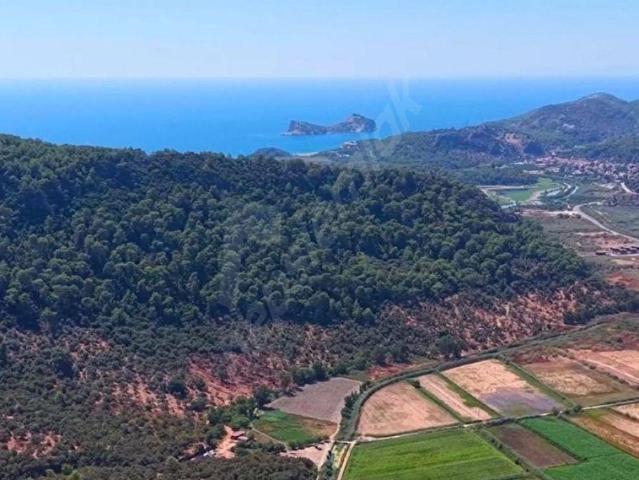 MUĞLA ORTACA SARIGERME GÜZELYURTTA 600 M YATIRIMLIK HİSSELİ ARSA ALTYAPISI HAZIR