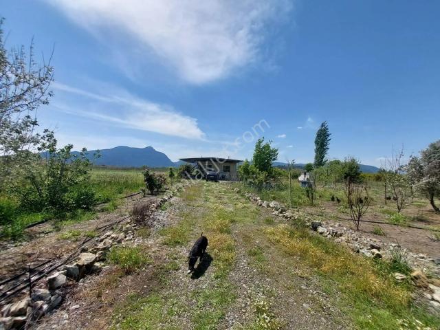 Muğla Ortaca Tepearasın Da 9 647 M2 Müstakil Arazi Kelepir Köy Ev Satılık