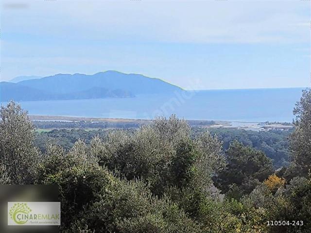 Muğla Sarıgerme' de Deniz Manzaralı %1530 İmarlı Arsa