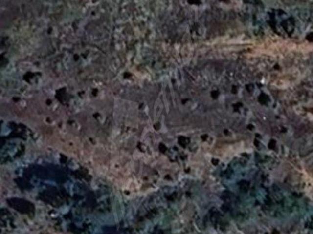 MUĞLA SATILIK ZEYTİNLİK 2.750.000 TL ZEYTİN KÖY MH