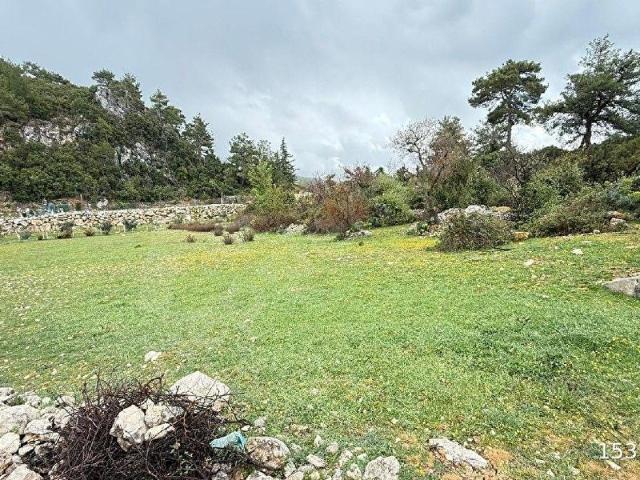 MUĞLA SEYDİKEMER YAKA MAHALLESİ