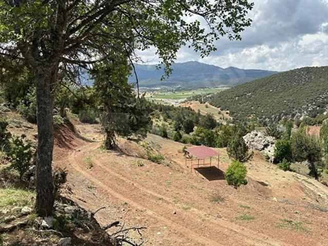 MUĞLA SEYDİKEMER BOĞALAR MAH. MÜKEMMEL ARAZİ SATIŞTA 1952 M2