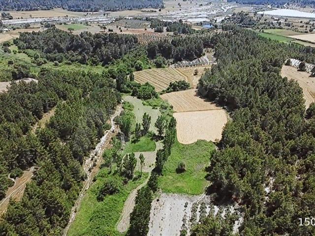 MUĞLA SEYDİKEMER EŞEN 'DE 3.900 M2 SATILIK ARAZİ