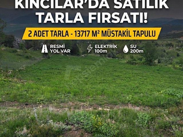 MUĞLA SEYDİKEMER'DE SATILIK 2 PARSEL BİR ARADA 13717 M2 TARLA