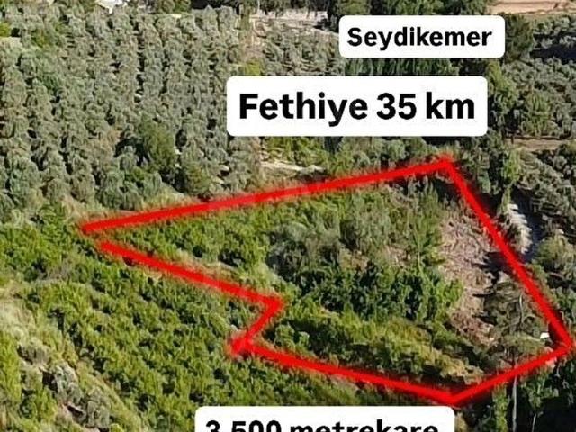 MUĞLA SEYDİKEMER'DE YATIRIMLIK TARLA