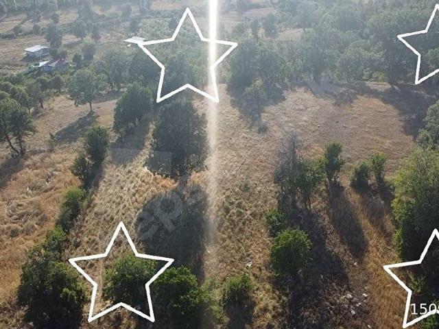 Muğla Seydikemer Çobanisa'da 3.776 m Tek Tapu Satılık Arazi Yatırımın Yeni Adresi!