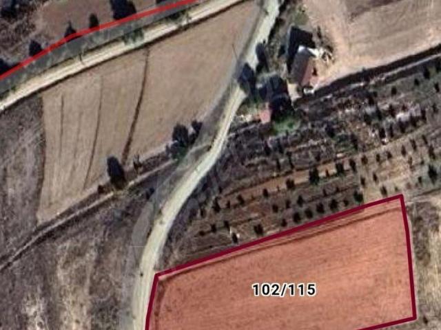 Muğla Seydikemer Doğanlar'da 4483 m Satılık Tarla