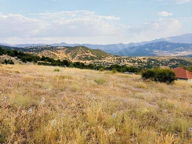Muğla Seydikemer Yayla Çobanisa Köyünde 2574 m2 müstakil Tapulu