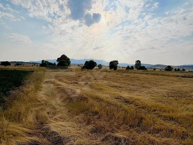 Muğla Seydikemer yayla çobanisada ev yataklığı 641 m2 tapulu