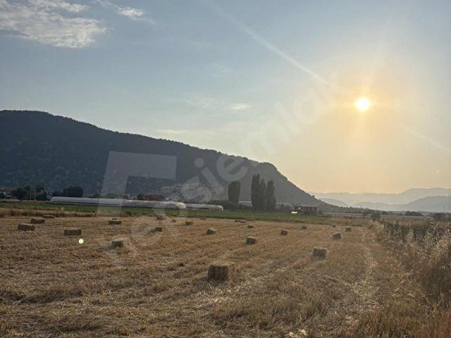 Muğla Seydikemer Yayla Ceylan Seki Yoluna Yakın 1370 m2 Müstakil