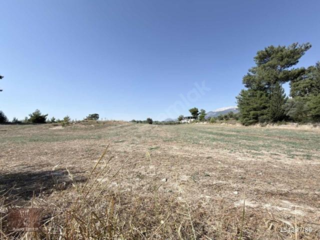 Muğla Seydikemer 8.821.40m2 Satılık Bahçe