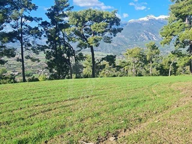 Muğla Seydikemerde Doğa İçinde, Yola Yakın Manzaralı Satılık Ar