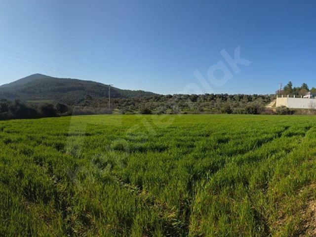 Muğlametropol' den Muğla Menteşe Kafaca' da Kat Karşılığı Ticari Arsa
