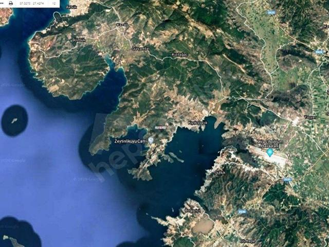 MUĞLAKIYIKIŞLACIK SATILIK 18320 M2 ZEYTİNLİK