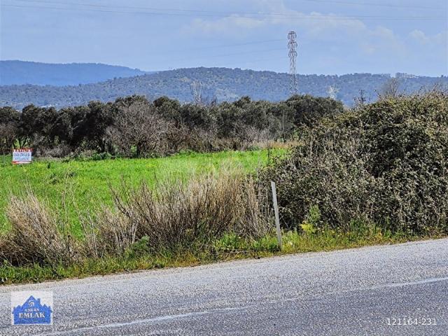 MUMCULAR ANAYOL UZERI SATILIK TARLA