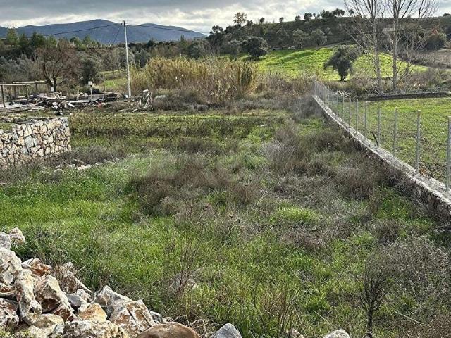 Mumcular'a Yakın Kısırlar'da Yolu Olan Satılık Hobi Bahçesi Tarl