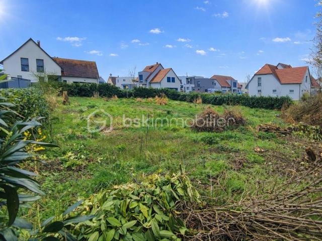 Muntzenheim Vente Terrain 68