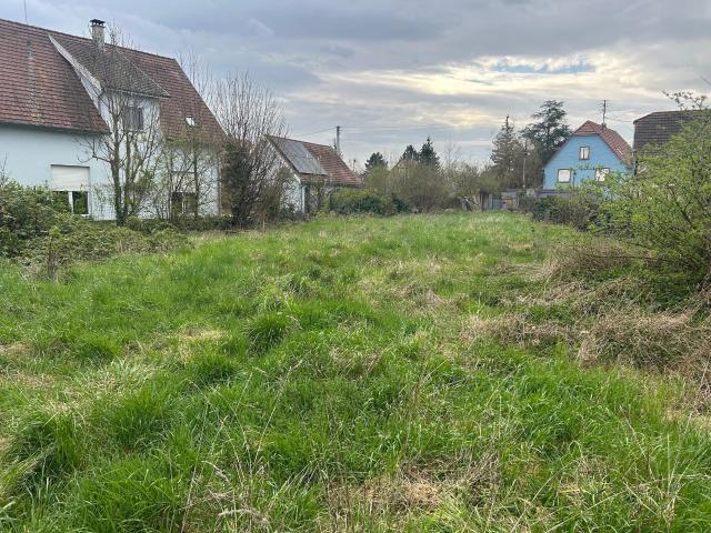 Muntzenheim Vente Terrain 68