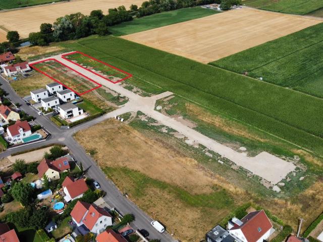Muntzenheim Vente Terrain 68