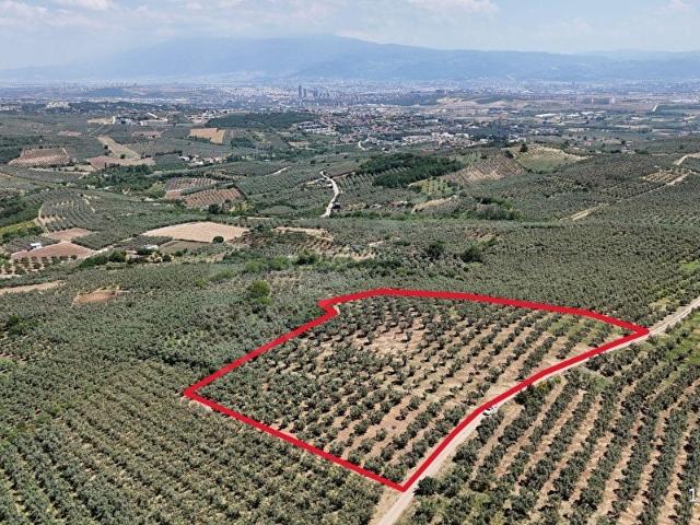 MUDANYA MÜRSEL' DE BURSA MANZARALI FIRSAT ARAZİ