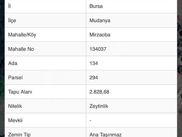 Mudanya Mirzaobada Göl Manzaralı, Yola Cepheli 2.828 m Fırsat Arazi!