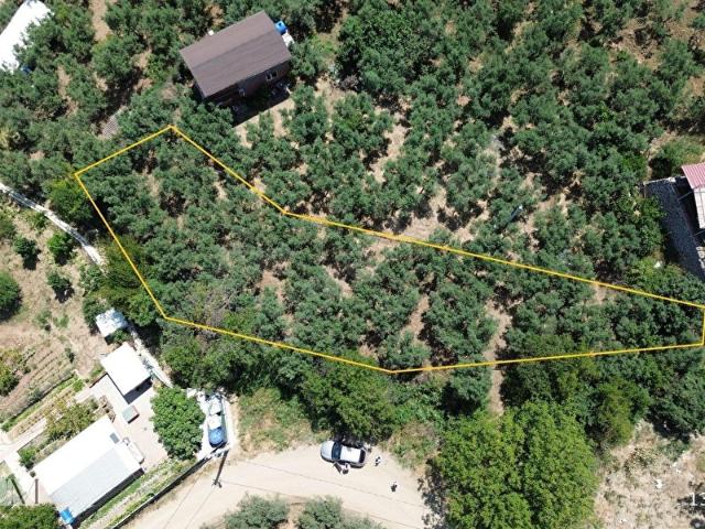MUDANYA ÇEPNİ'DE SATILIK YOLA CEPHE ZEYTİNLİK OLİVİUM'DAN