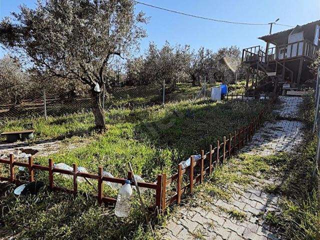 MUDANYA ÇEPNİ SATILIK HOBİ BAHÇESİ