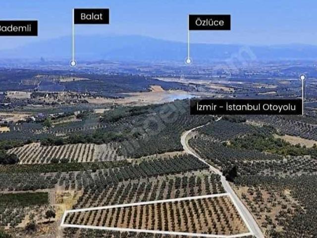 MUDANYA GELİŞEN BÖLGESİ DEDEKÖYDE YOLA CEPELİ SATILIK TARLA