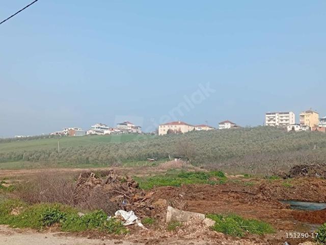 MUDANYA ÜLKÜKÖYDE KOPARATİF HİSSELİ YATIRIMLIK TARLA