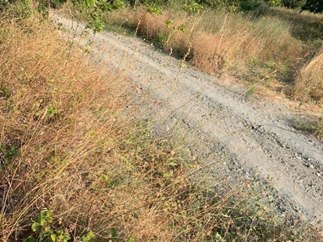 MUDANYA YAMAN MAHALLESİ SATILIK MÜKEMMEL KONUMDA 6.275 M2 TARLA