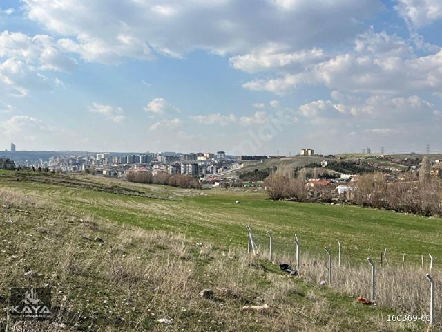 MUHTEŞEM KONUMDA KONUT İMARI BEKLENEN MEVKİ