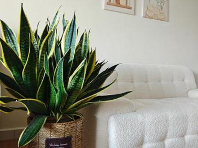 Muji design condo by the sea Melaka