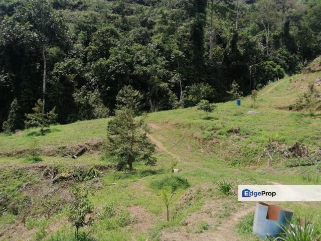 Mukim Tras @ Raub Pahang Agriculture Land for Sale