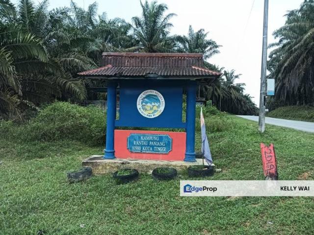 Mukim Ulu Sungai Johor @ Kota Tinggi 2 adjoining plots 10 Acres Agricultural Land For Sale