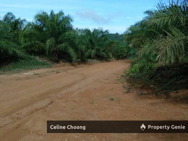 Mukim Mercang, Terengganu P004