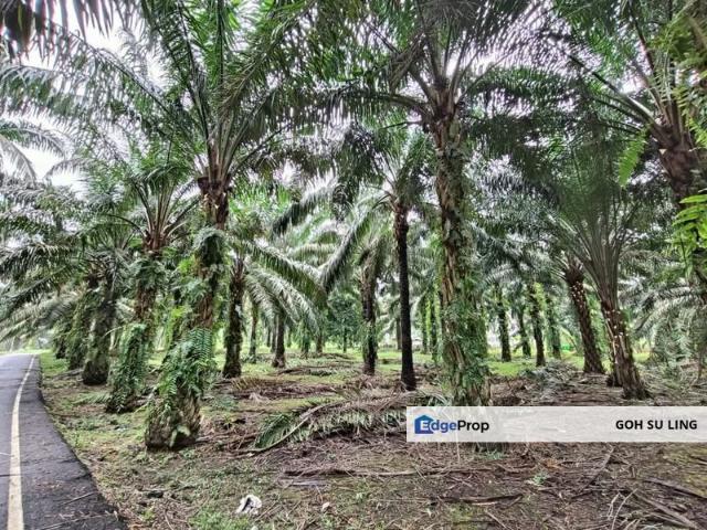 Mukim Pulai Johor
