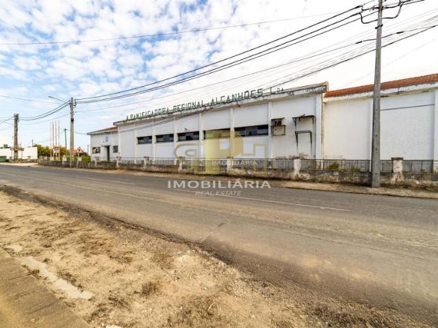 multi family 10 quarto, Santarém Santarém DS87934102