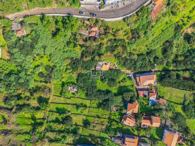 multi family Machico Ilha da Madeira DS92850483