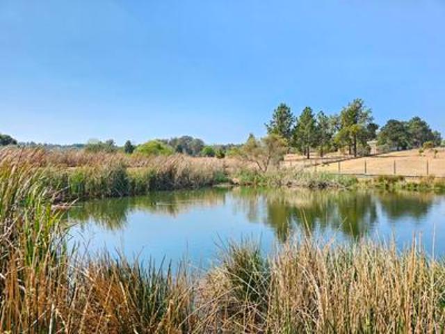 multi income generating 9ha property.