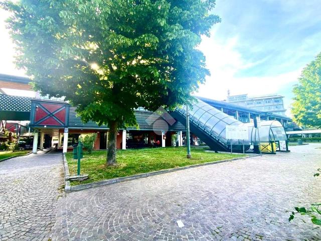 Multilocale in affitto