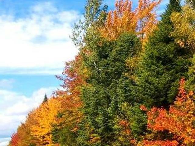 MULTIPLE LOTS LAND FOR SALE