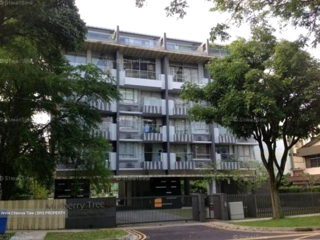 Mulberry Tree D11, Apartment