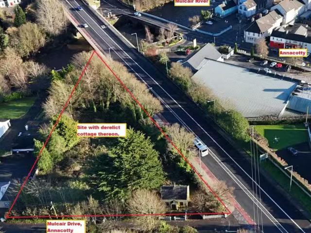 Mulcair Drive, Annacotty, Co. Limerick is for sale