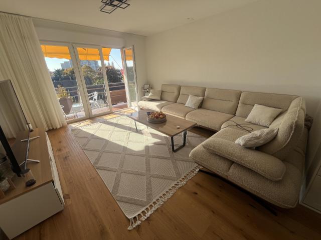 Mulhouse Vente Appartement 68
