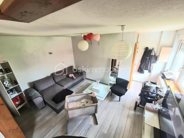 Mulhouse Vente Immeuble 68