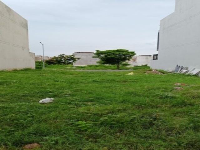 Mullanpur, Mohali City 1000 Sq.Ft. Plot in Mullanpur Mohali Listing ID: #10127