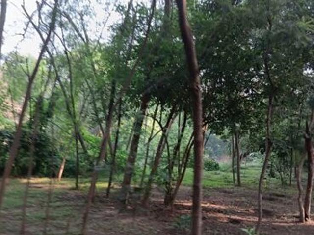 Mullanpur, Mohali City 2315 Sq.Ft. Plot in Mullanpur Mohali Listing ID: #9954