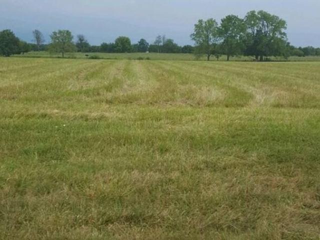 Mullanpur, Mohali City 368 Sq.Ft. Plot in Mullanpur Mohali Listing ID: #10095