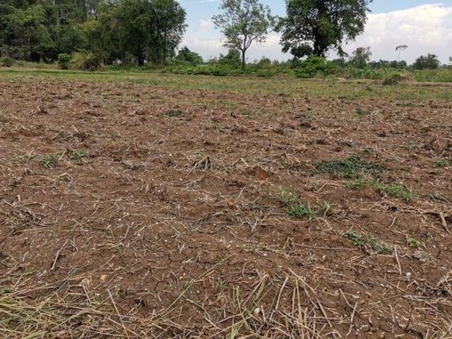 Mullanpur, Mohali City 375 Sq.Ft. Plot in Mullanpur Mohali Listing ID: #10101