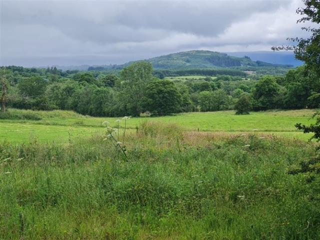 35,000 | Mullinabreena, Chaffpool, Tubbercurry, Sligo Murphy & Sons Auctioneers Ltd 4515 MyHome. Ie Residential